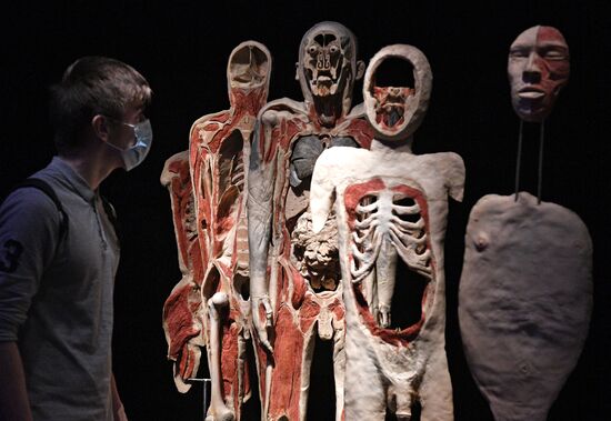 Выставка "Body Worlds. Мир тела" в Москве