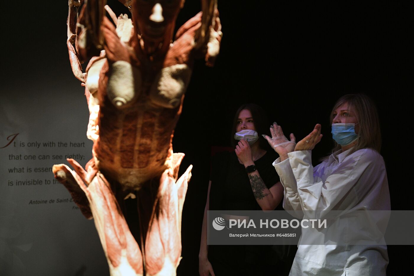 Выставка "Body Worlds. Мир тела" в Москве