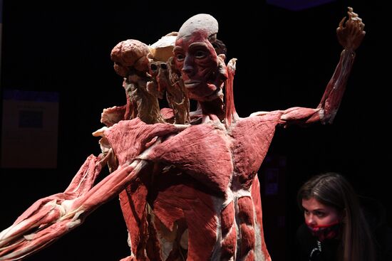 Выставка "Body Worlds. Мир тела" в Москве