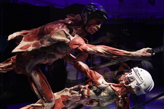 Выставка "Body Worlds. Мир тела" в Москве