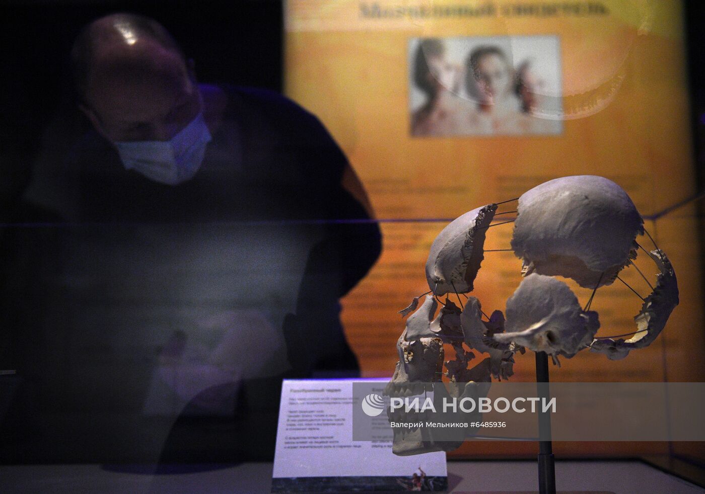 Выставка "Body Worlds. Мир тела" в Москве