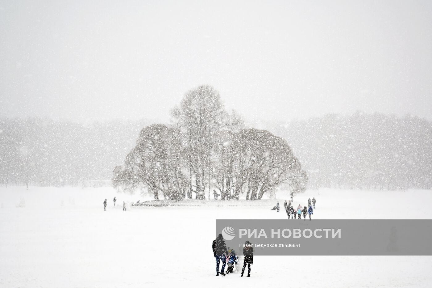 ФОТО МЕСЯЦА