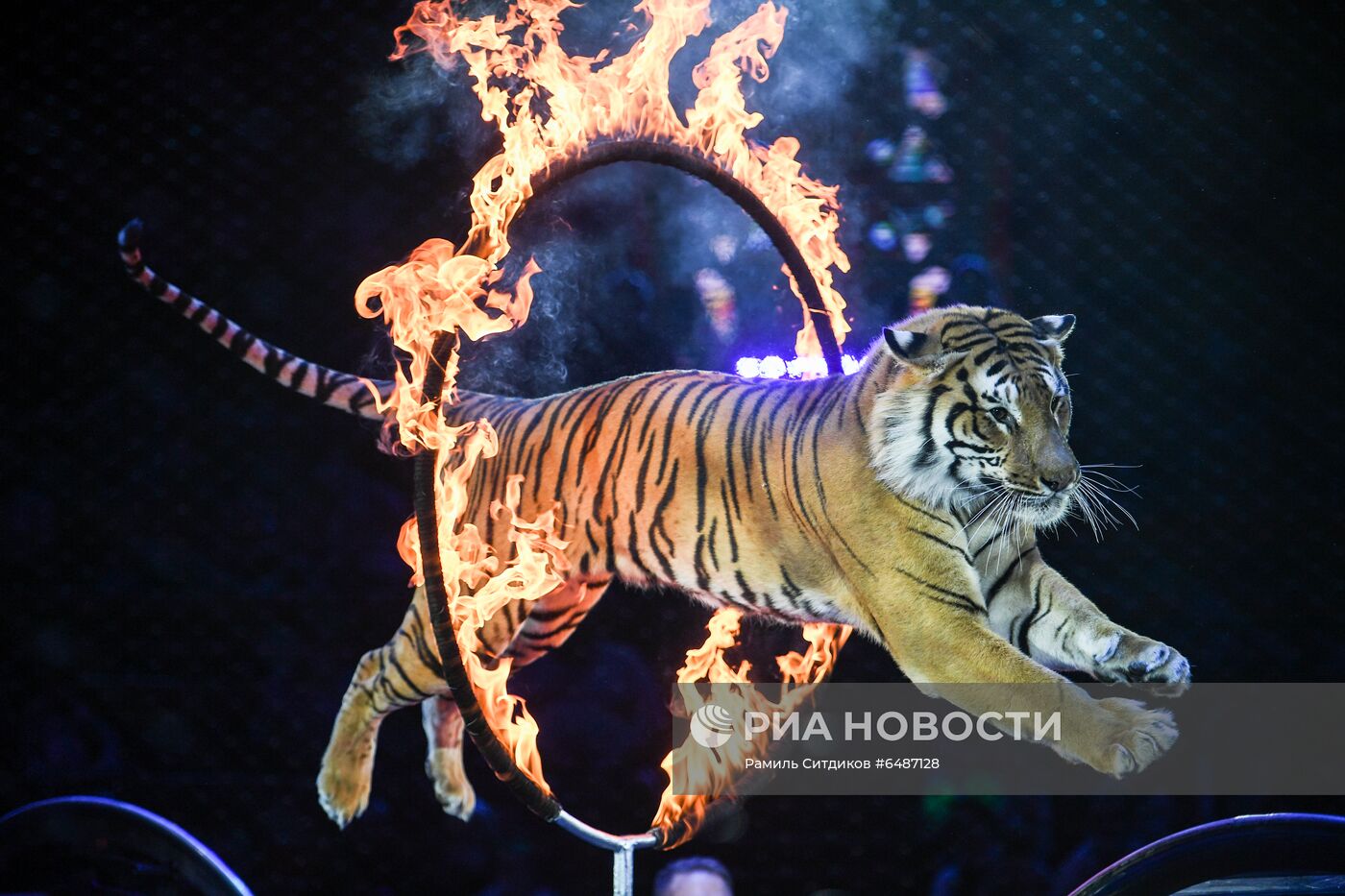 Спектакль "И100РИЯ" в Большом Московском цирке