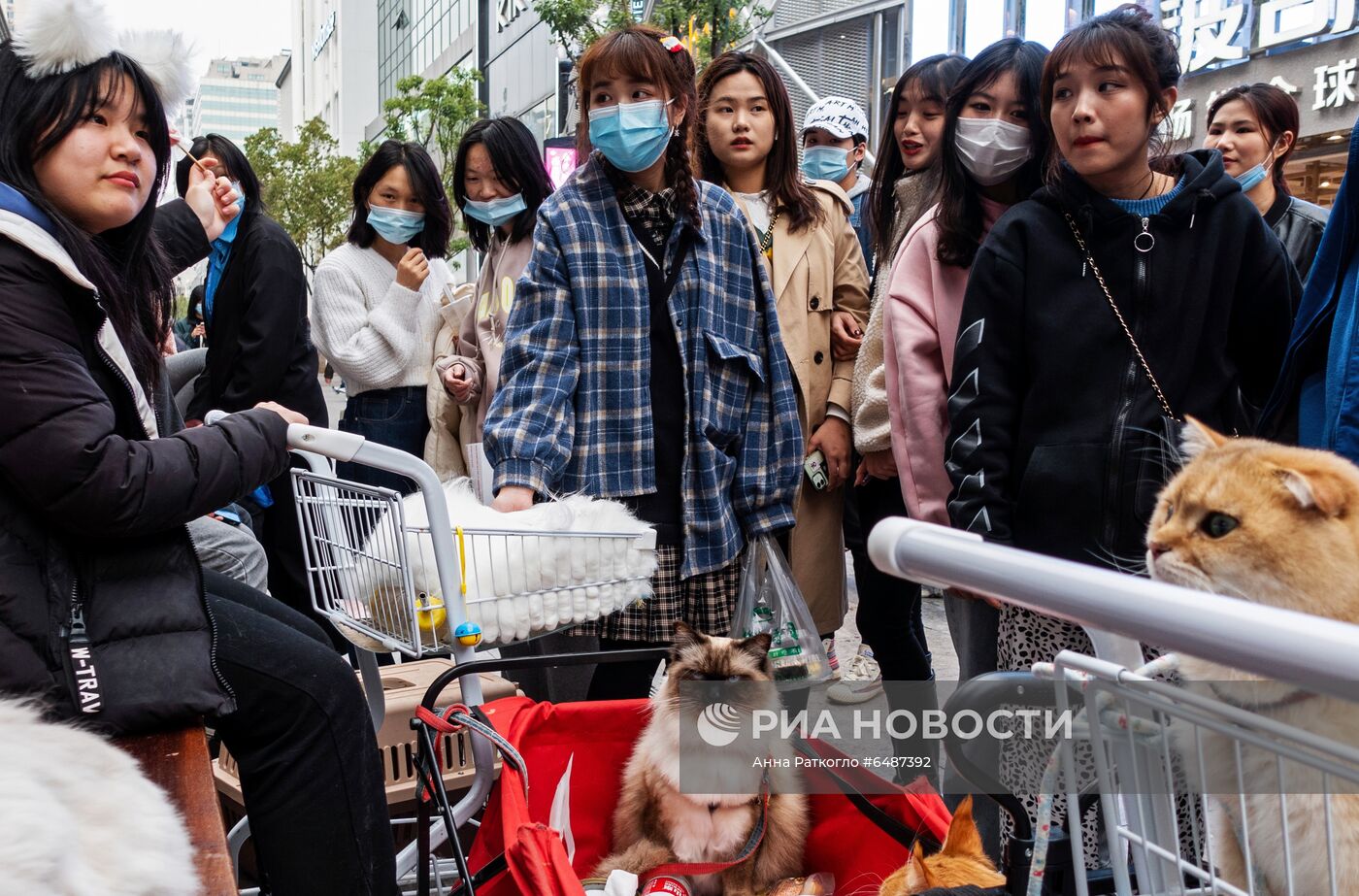 ФОТО МЕСЯЦА