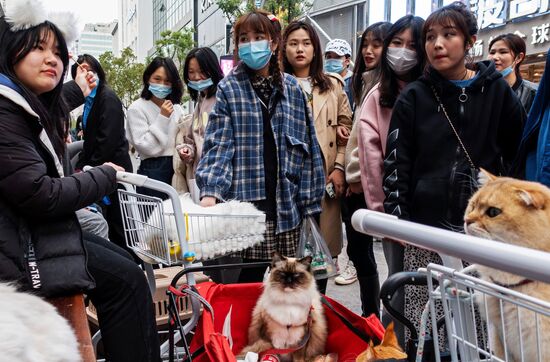 ФОТО МЕСЯЦА