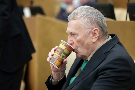 Пленарное заседание Госдумы РФ