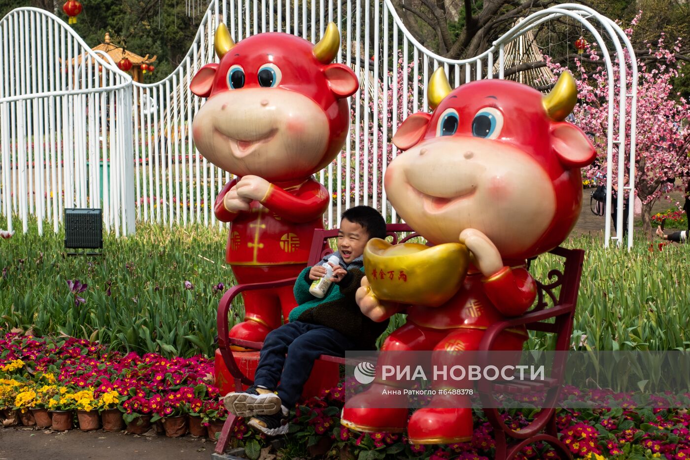 Китай через год после начала пандемии