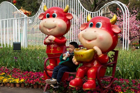 Китай через год после начала пандемии