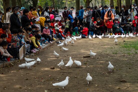 Китай через год после начала пандемии
