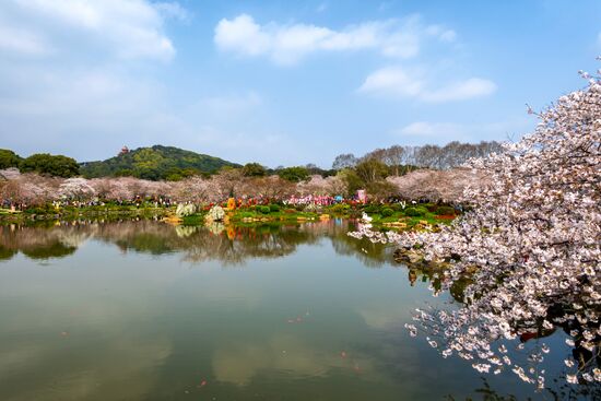 Китай через год после начала пандемии
