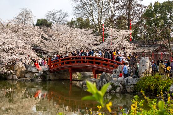Китай через год после начала пандемии