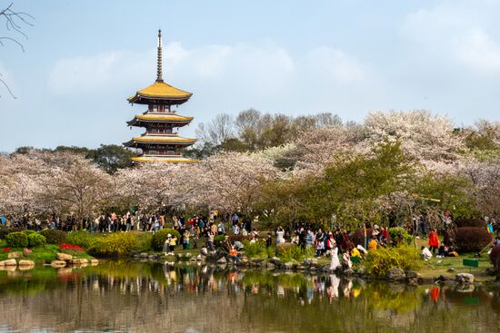Китай через год после начала пандемии