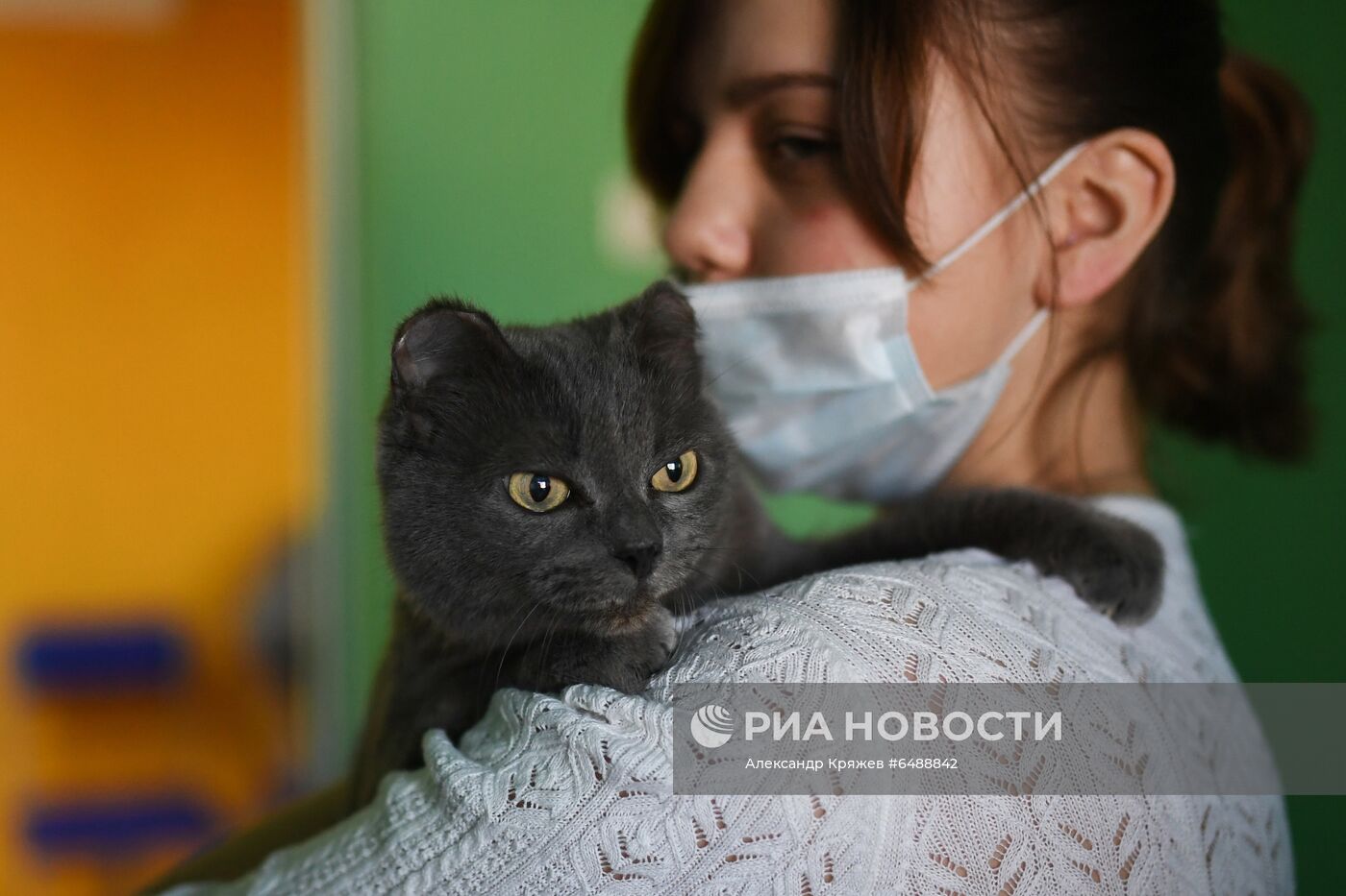 Обская городская ветеринарная клиника в Новосибирской области