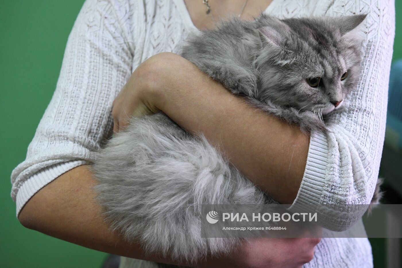 Обская городская ветеринарная клиника в Новосибирской области