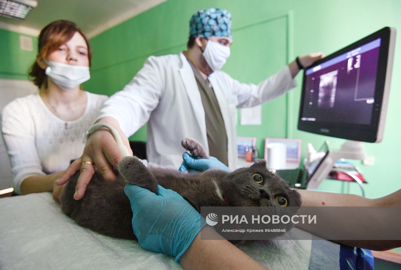 ФОТО МЕСЯЦА