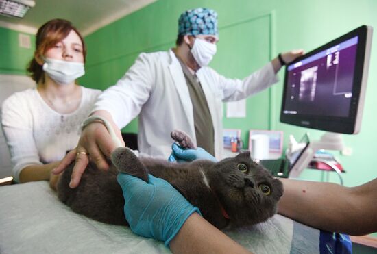 ФОТО МЕСЯЦА