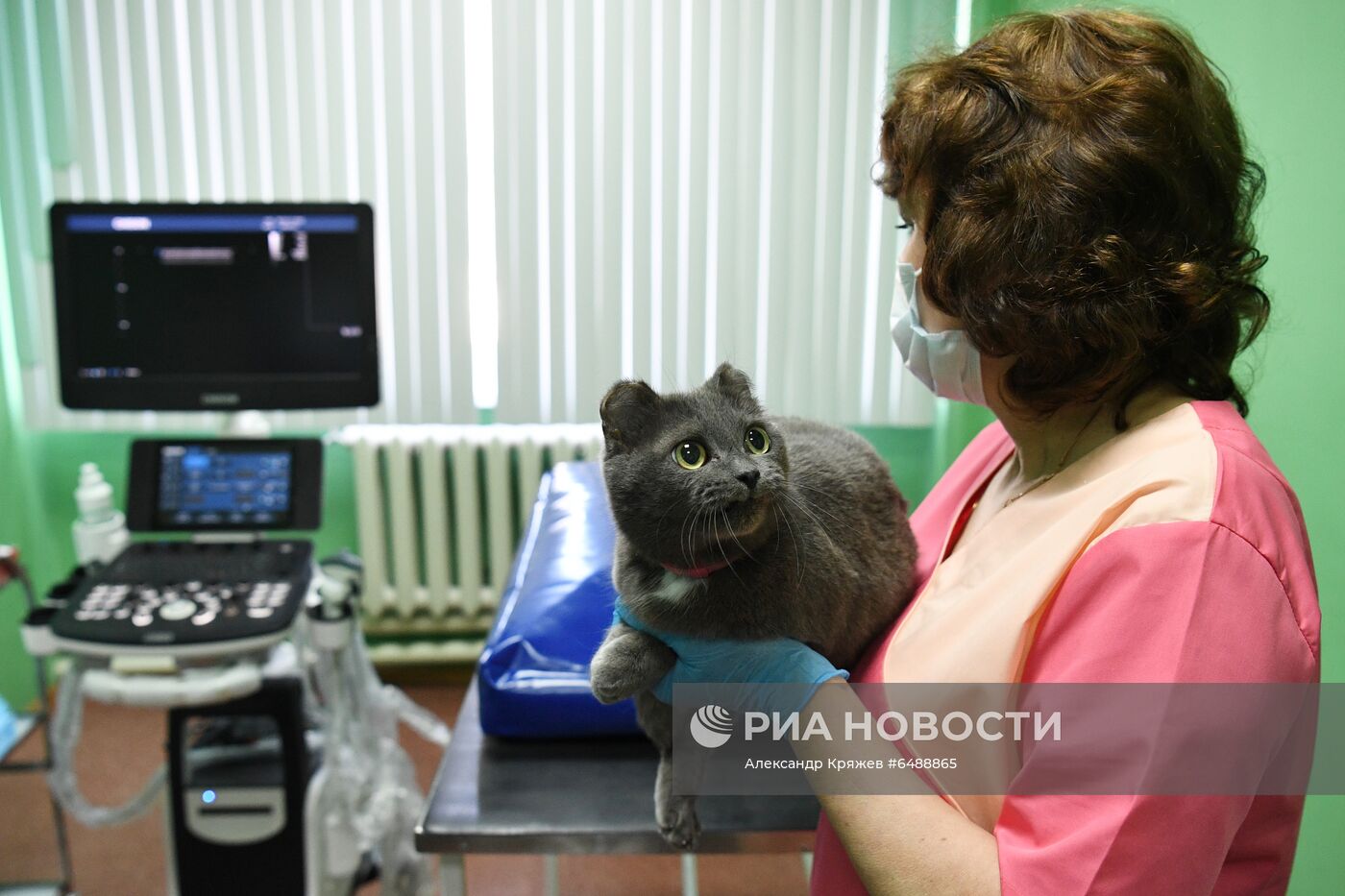 Обская городская ветеринарная клиника в Новосибирской области