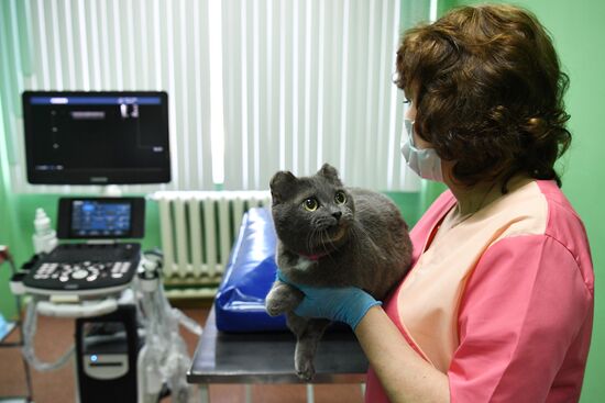 Обская городская ветеринарная клиника в Новосибирской области