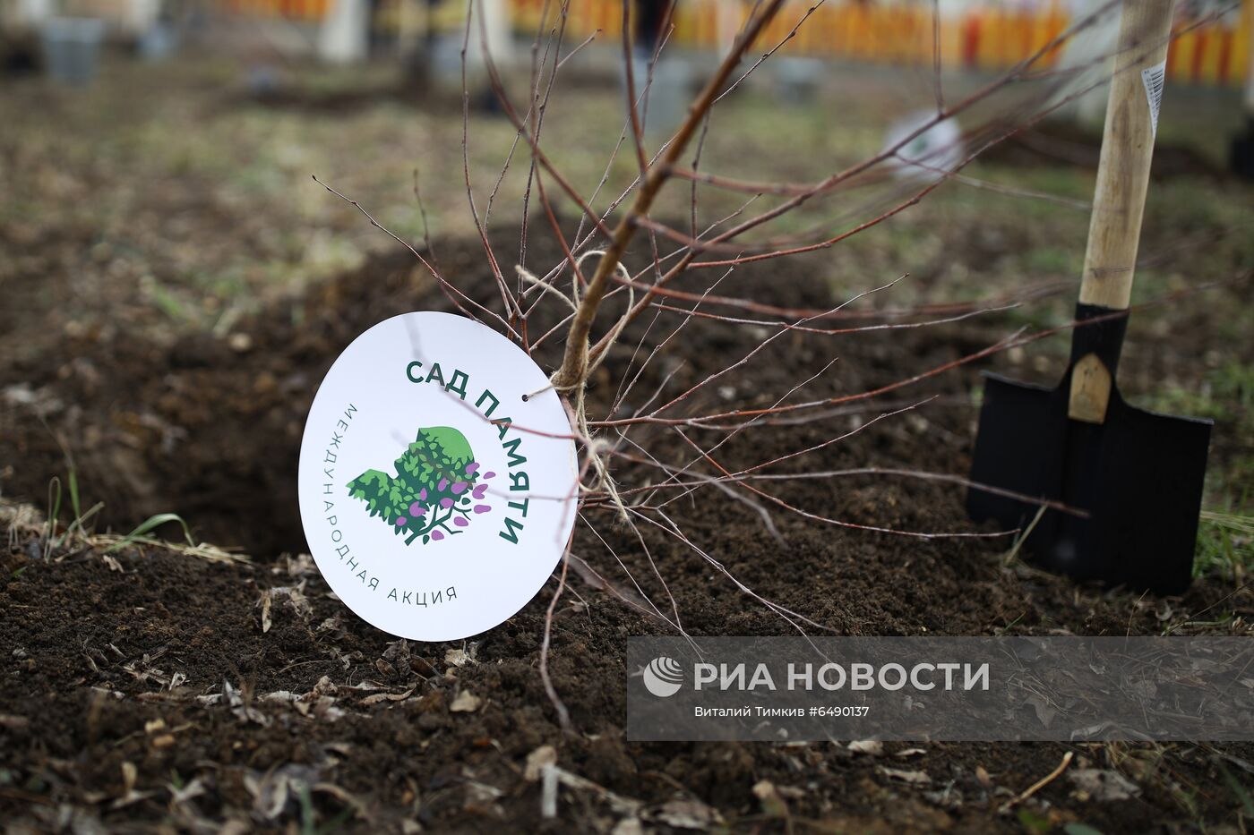 Старт акции "Сад памяти"