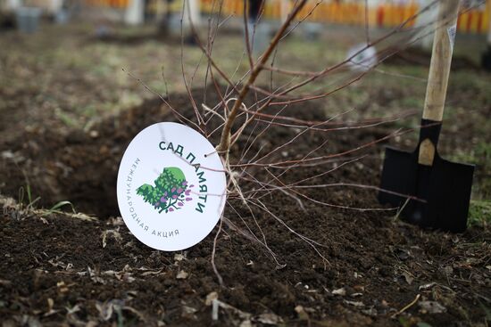 Старт акции "Сад памяти"