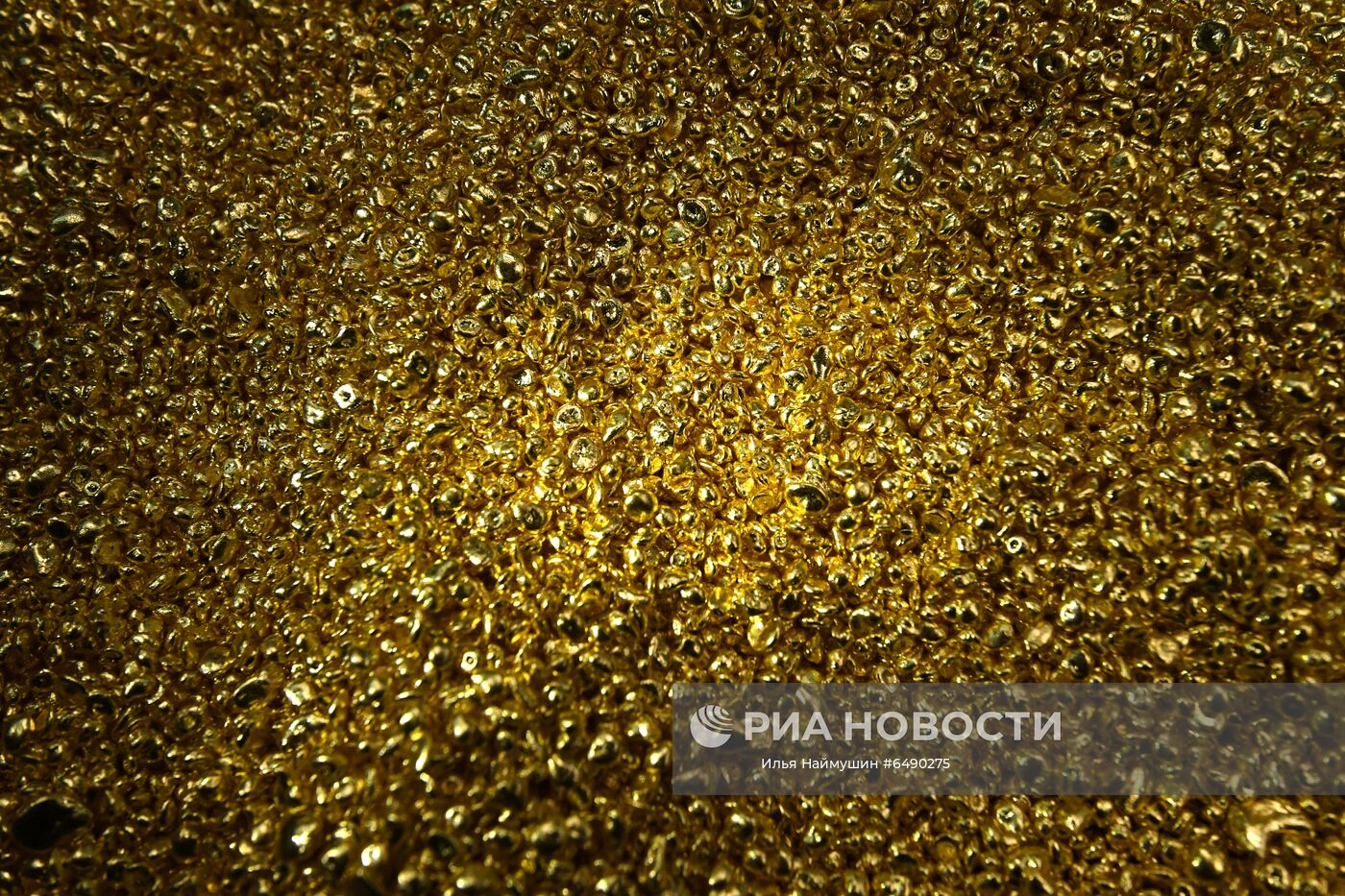 Производство золотых слитков на заводе "Красцветмет"