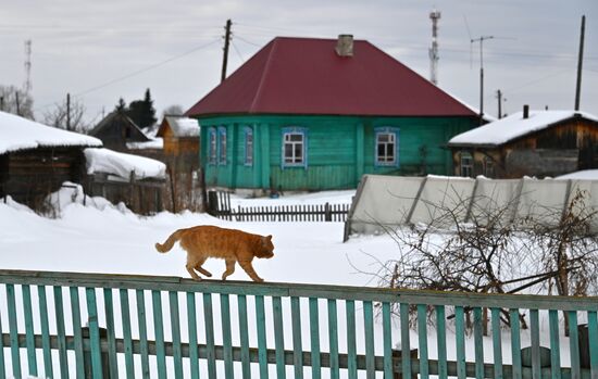 Фото недели