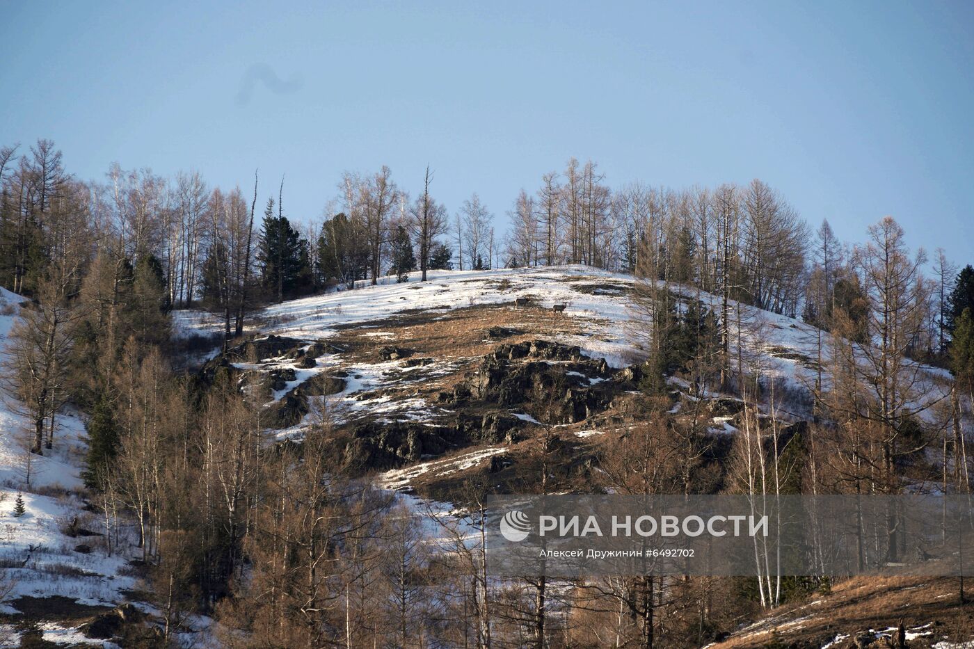 Отдых президента РФ В. Путина в Сибири