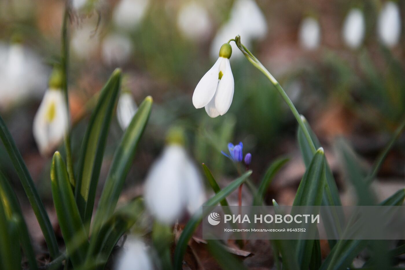 Весна в горах Крыма