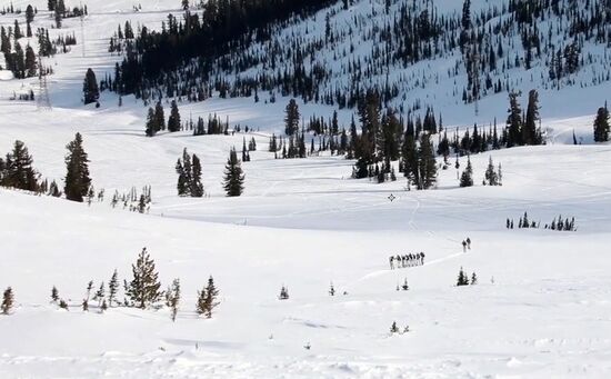 Высокогорный флешмоб в поддержку врачей, борющихся с COVID-19