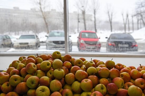 Дискаунтер "365+" торговой сети "Лента" в Новосибирске