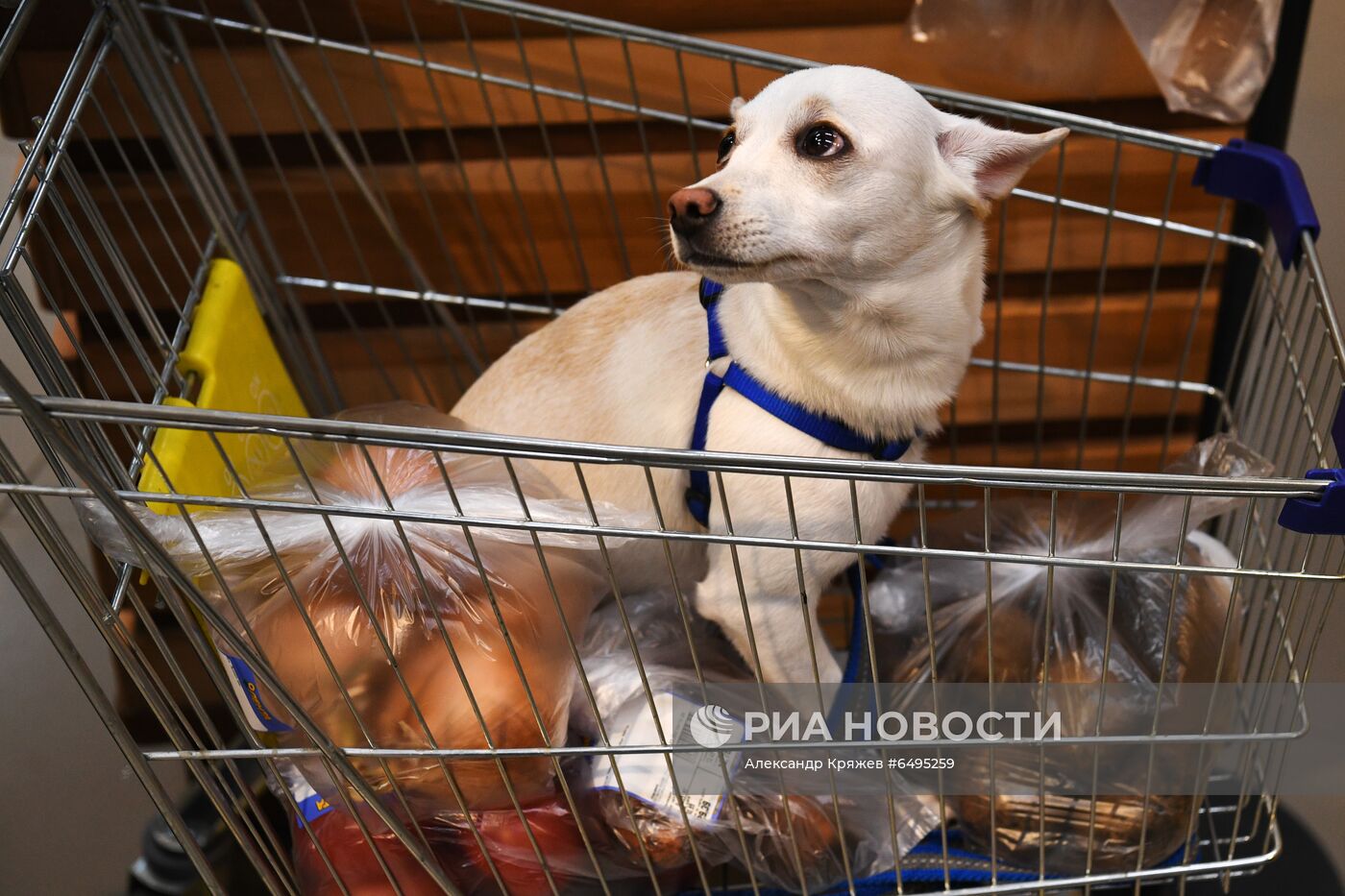 Дискаунтер "365+" торговой сети "Лента" в Новосибирске