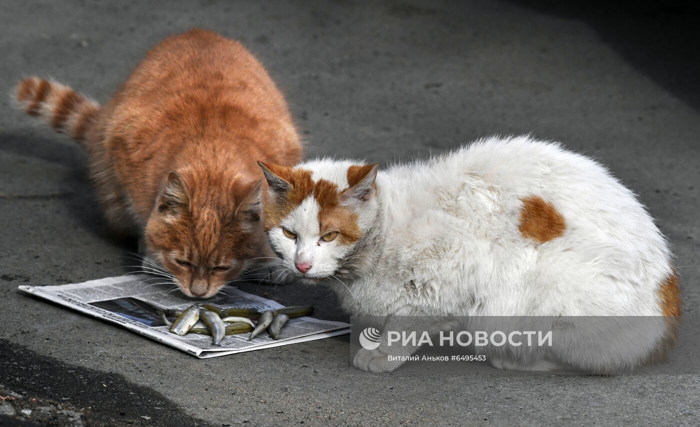 Ранняя весна во Владивостоке