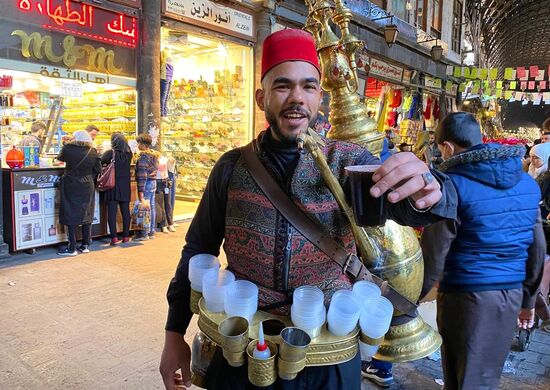 Страны мира. Сирия