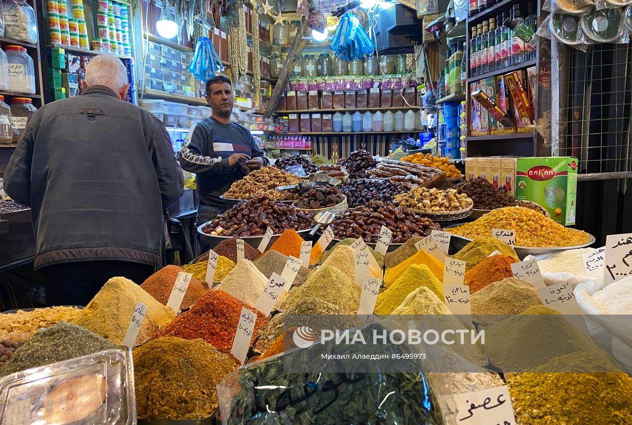 Страны мира. Сирия