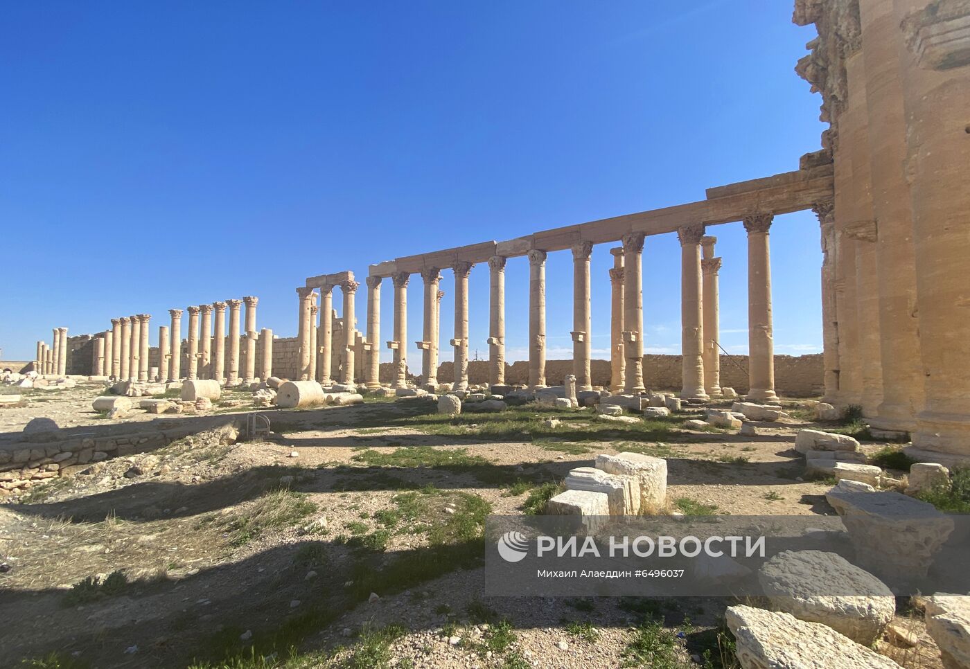 Страны мира. Сирия