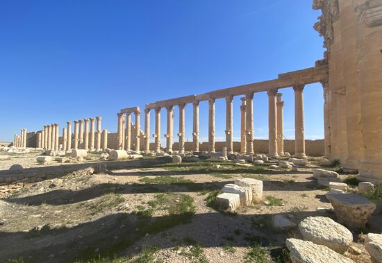 Страны мира. Сирия