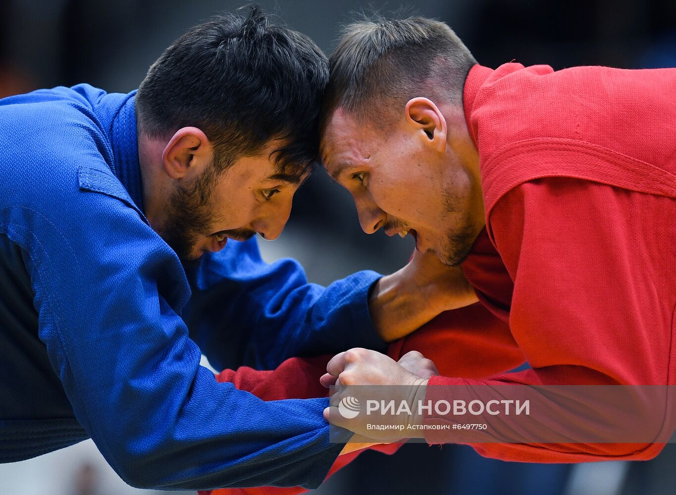 Кубок мира по самбо в Москве