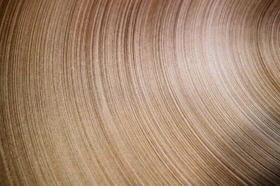 Сегежский целлюлозно-бумажный комбинат