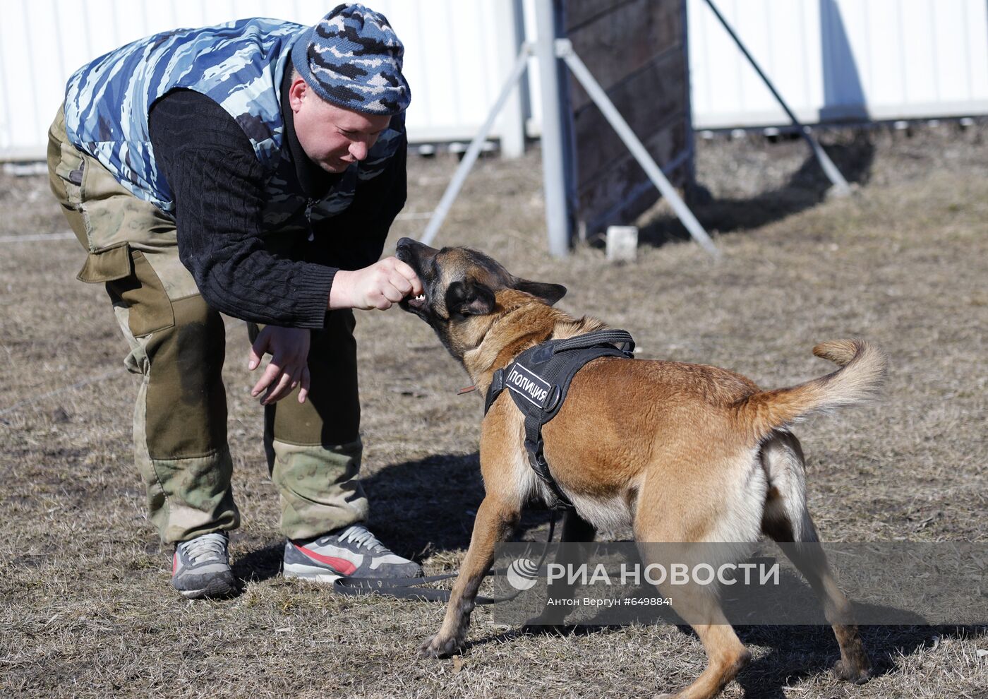 Кинологический центр МВД в Белгороде 