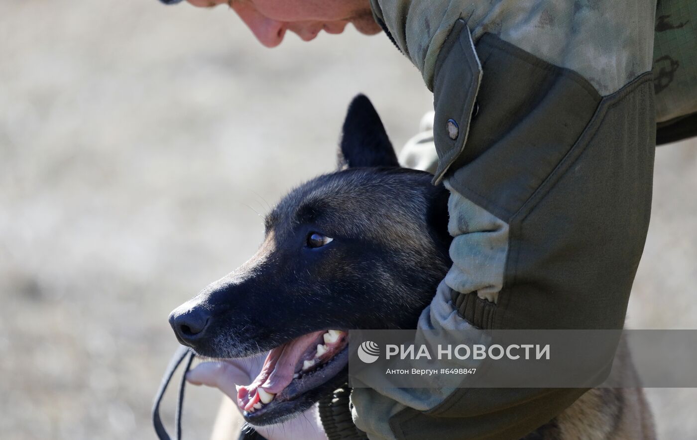 Кинологический центр МВД в Белгороде 