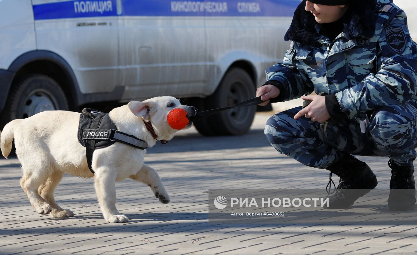 Кинологический центр МВД в Белгороде 