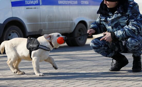 Кинологический центр МВД в Белгороде 