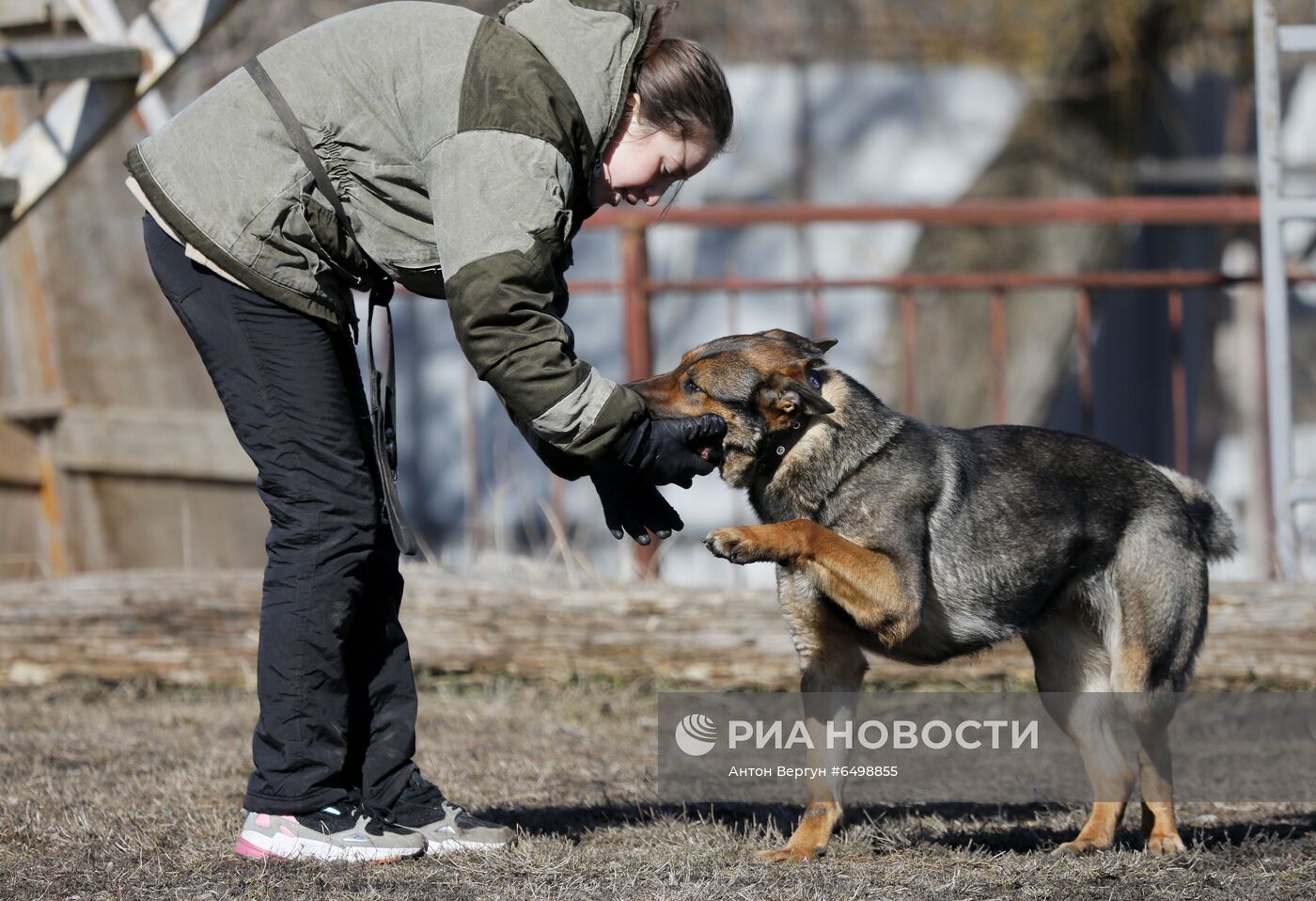 Кинологический центр МВД в Белгороде 