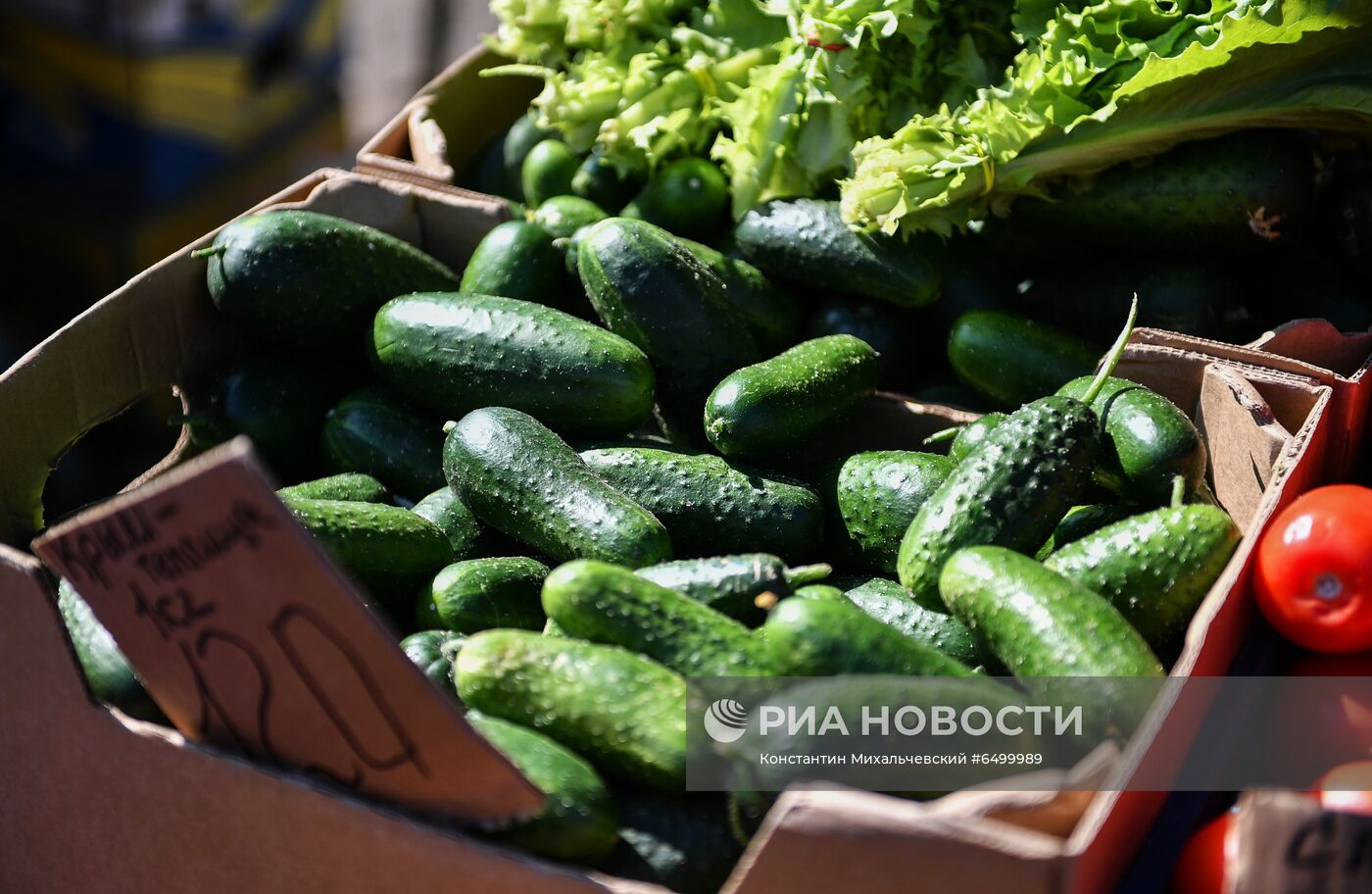 Сельскохозяйственная ярмарка в Ялте