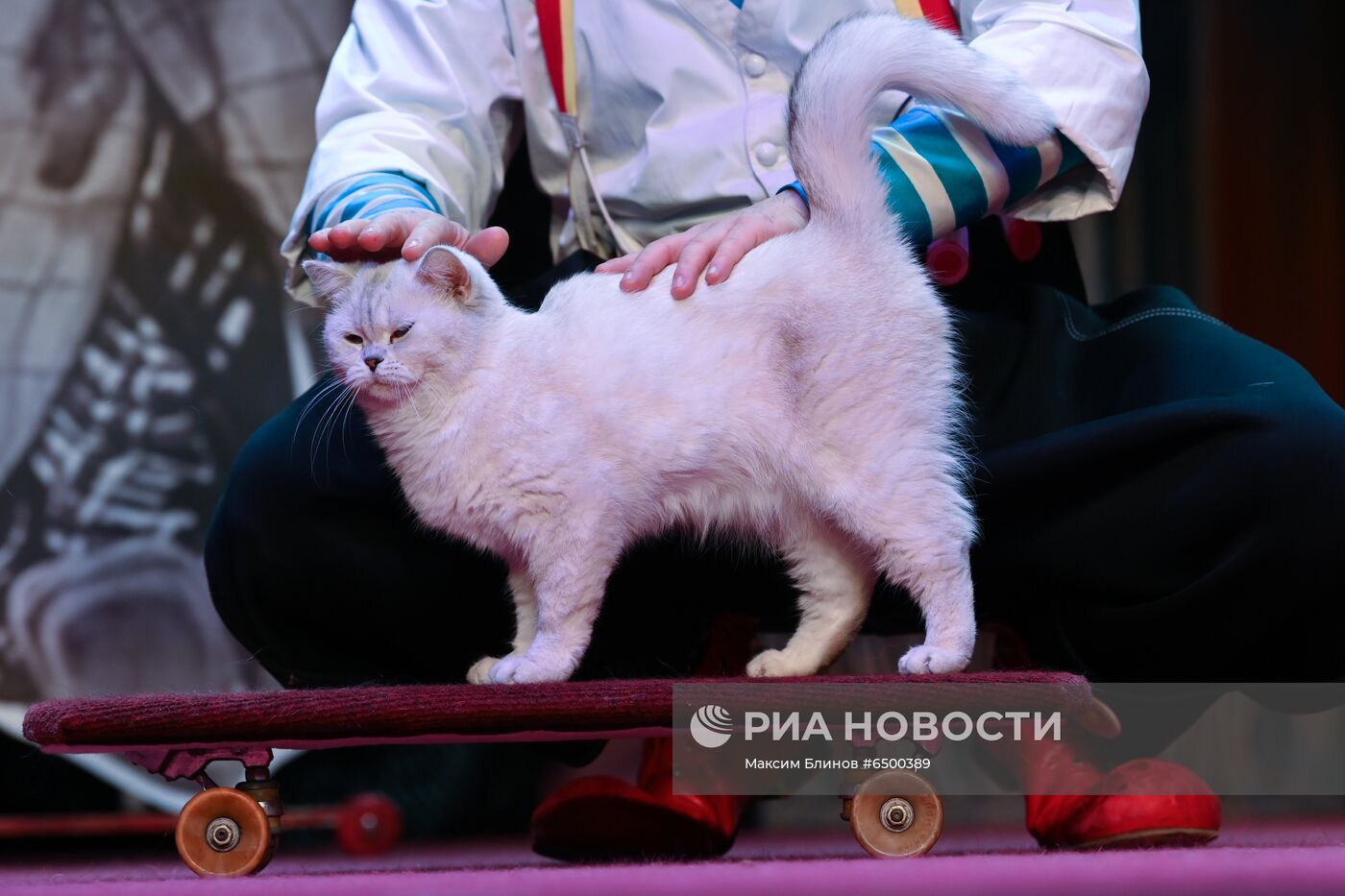 Акция "Ночь театров" в Москве