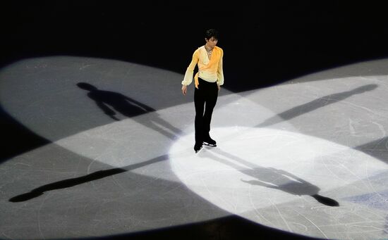 Фигурное катание. Чемпионат мира. Показательные выступления