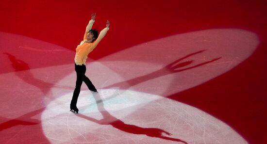 Фигурное катание. Чемпионат мира. Показательные выступления