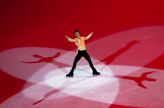 Фигурное катание. Чемпионат мира. Показательные выступления