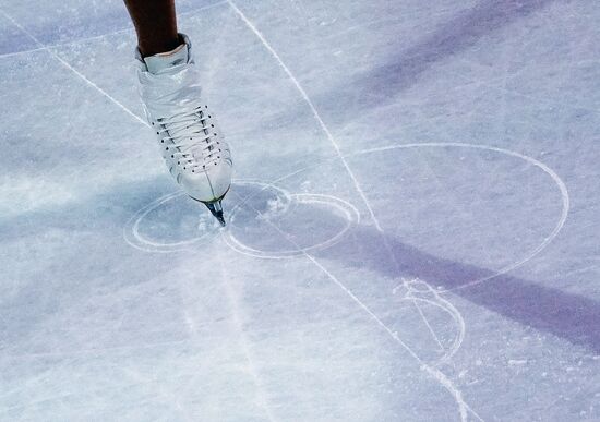 Фигурное катание. Чемпионат мира. Показательные выступления