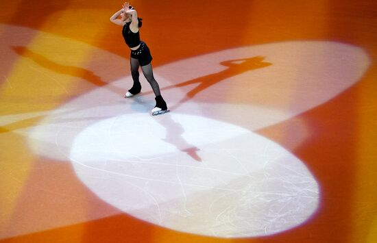 Фигурное катание. Чемпионат мира. Показательные выступления